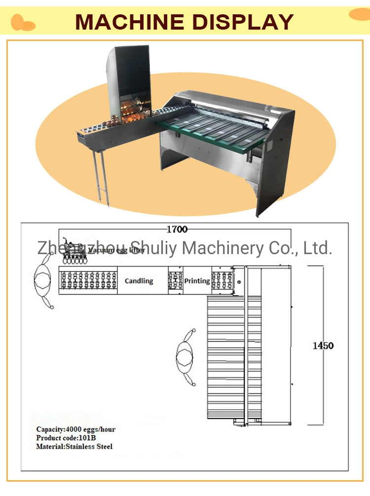 Hot Sell Egg Grading Sorting Machine Egg Grader with High Efficiency on Sale