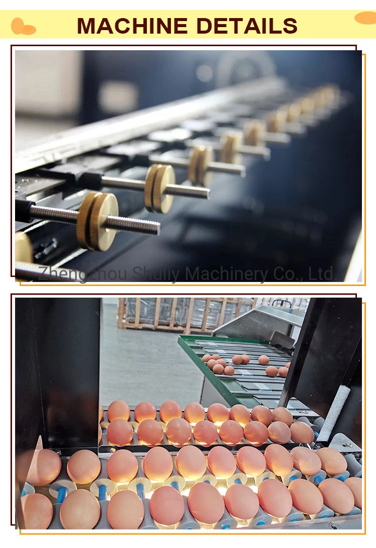 High Quality Egg Grader Egg Grading Machine Egg Sorting Machine