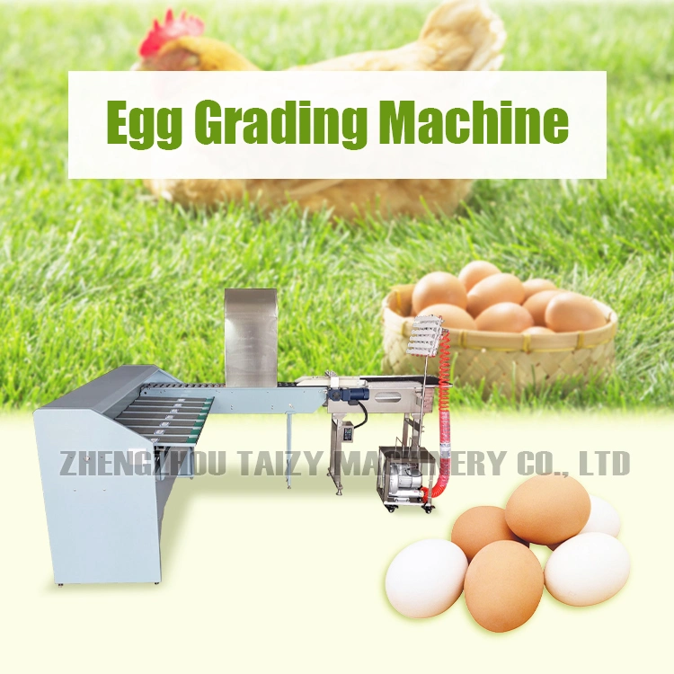 Egg Sorting Machinery Egg Grader Poultry Equipment Egg Grading Machine