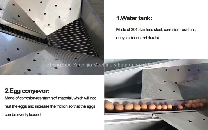 High Capacity Automatic Stainless Steel Commercial Poultry Chicken Goose Salted Duck Egg Cleaning System