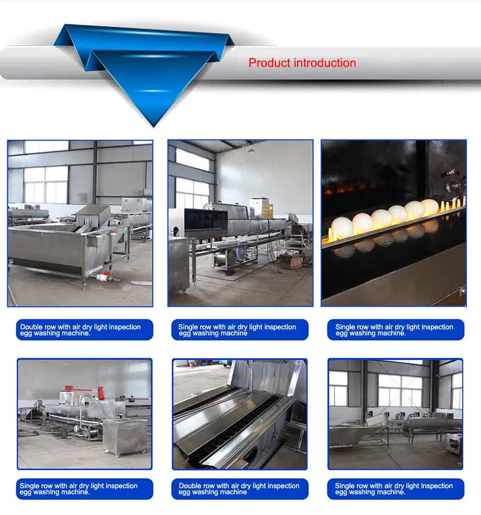 79 Salted Pine Egg Washing Grading Machine Marinated Egg Sorting Printing Machine Processing Line