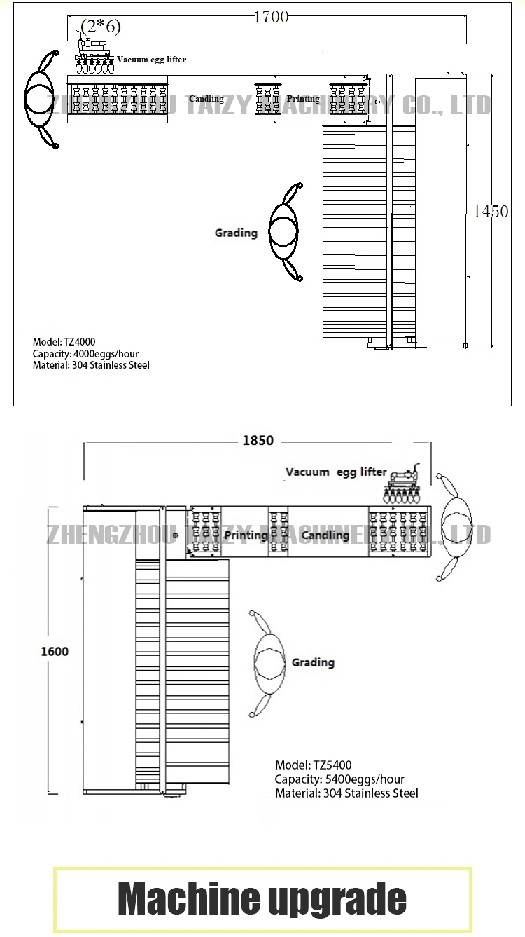 Egg Sorting Machinery Egg Grader Poultry Equipment Egg Grading Machine