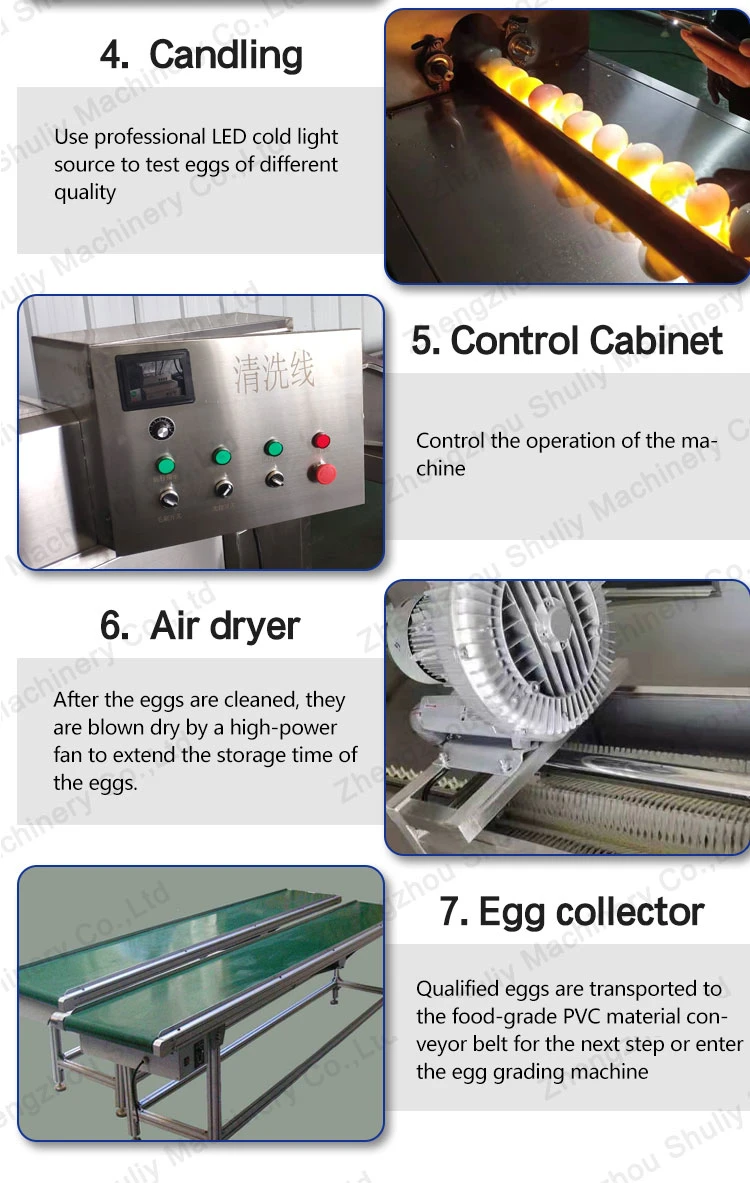 Automatic Line Egg Process Line Washer Candler Sorter Line for Sale