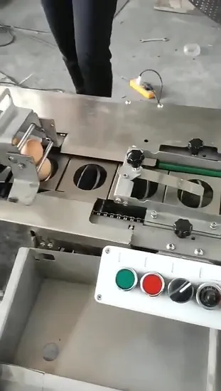 Maßgeschneiderter elektrischer automatischer Eierbrecher für Keksmaschinen