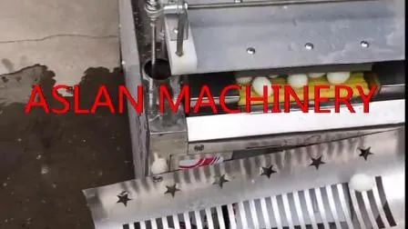 Maschine zum Schälen von gekochten Wachteleiern +86 17335571519
