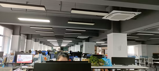 Eierverarbeitungsmaschine Automatische Wachtel-/Vogelei-Schälmaschine