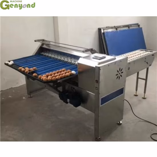 Automatische Eiersortier-Sortiermaschine Hühnerei-Sortiersortierer Sortierer-Wiegemaschine