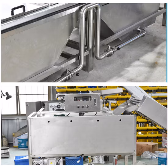 Hersteller Wachteleier-Kochmaschine Wachteleierschalen-Brechschälmaschine