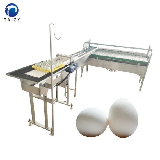 Eiersortiermaschinen Eiersortierer Geflügelausrüstung Eiersortiermaschine