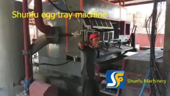 Maschine zur Herstellung von Obstschalen aus Papier/Maschine zur Herstellung von Fruchtfleisch-Eierschalen mit hoher Leistung