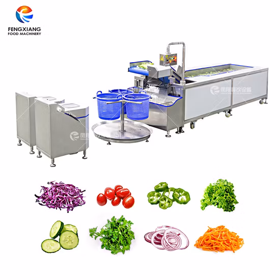 Obstwaschmaschine, Gemüseverarbeitungslinie